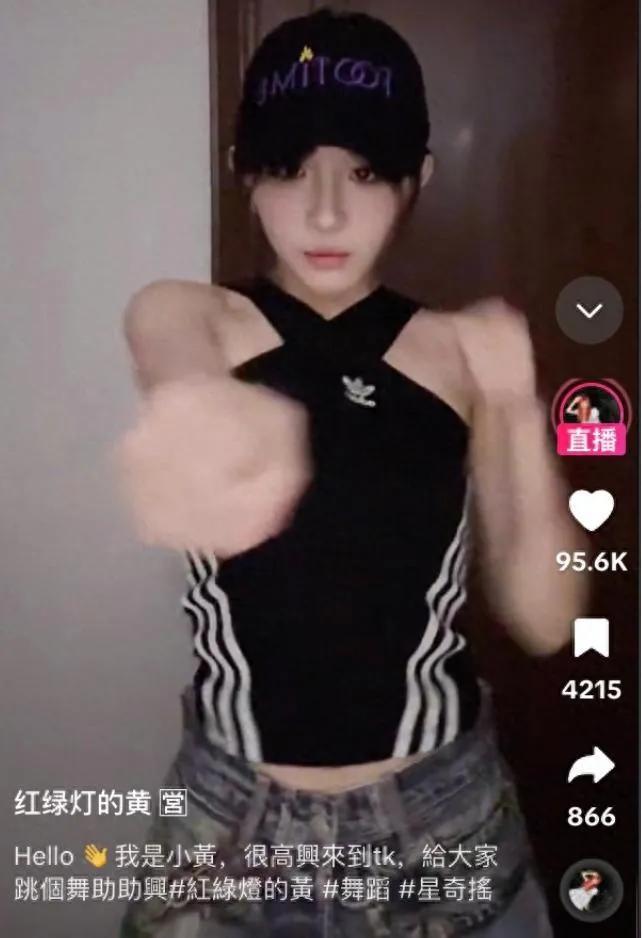 _tiktok法国直播_ 红绿灯的黄手机号轰炸免费软件粉丝收割 