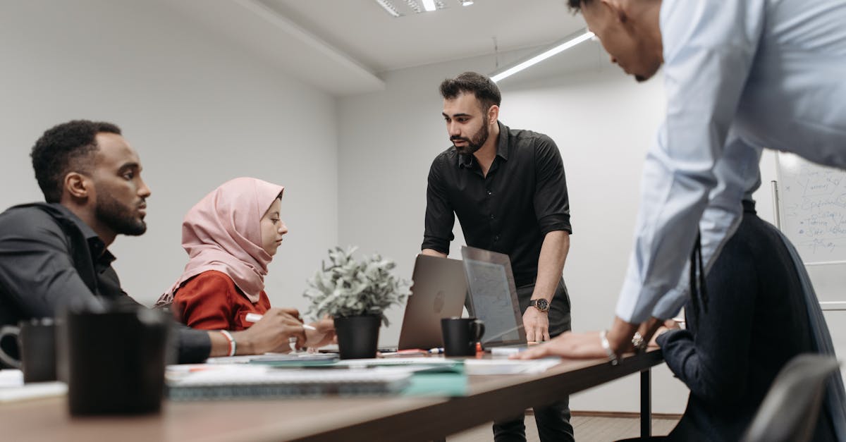 提灯与地下城辅助- 高碑店宠物购买平台