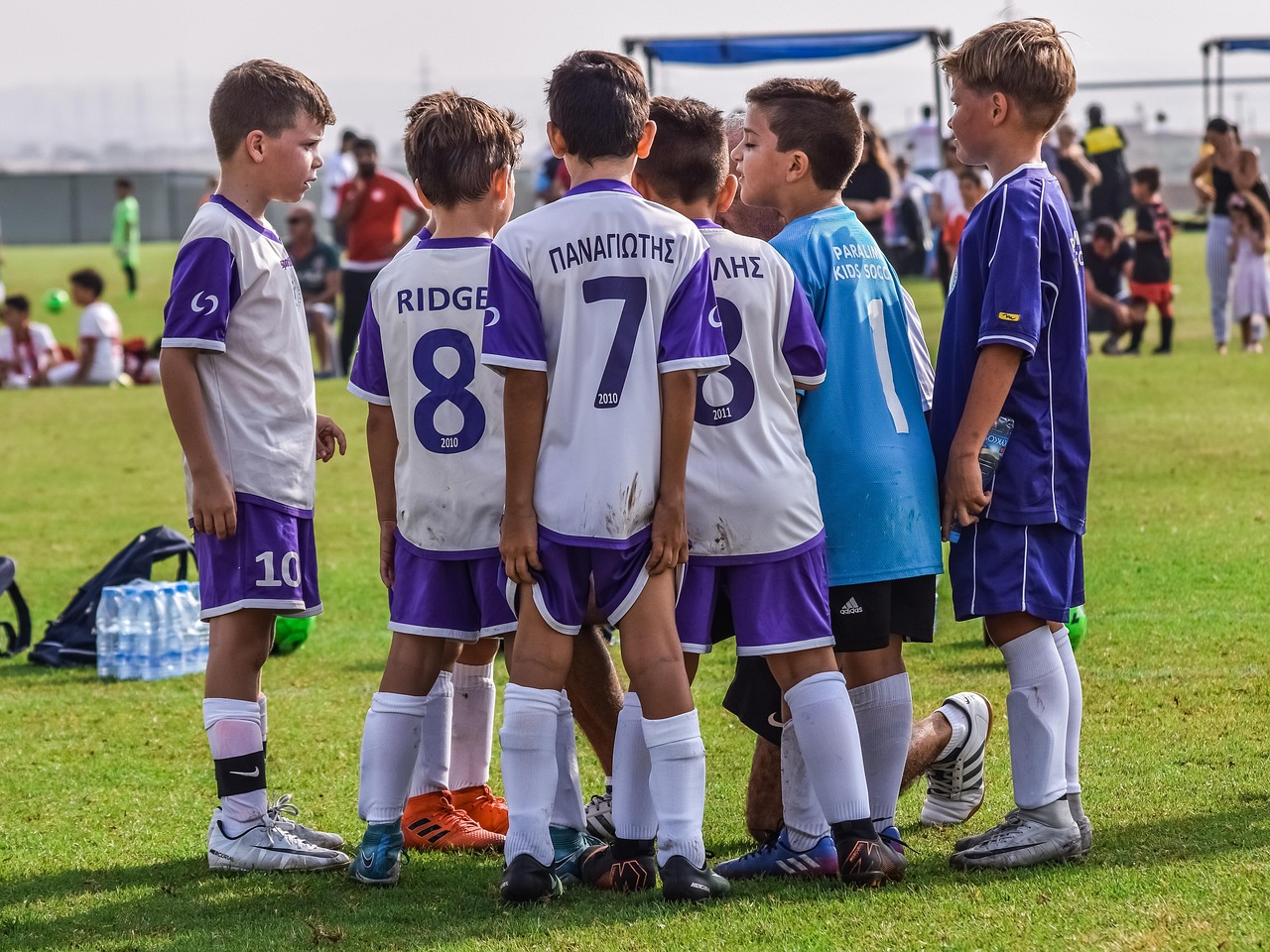 稳定的双语服务团队上家:代理注册香港公司费用高吗