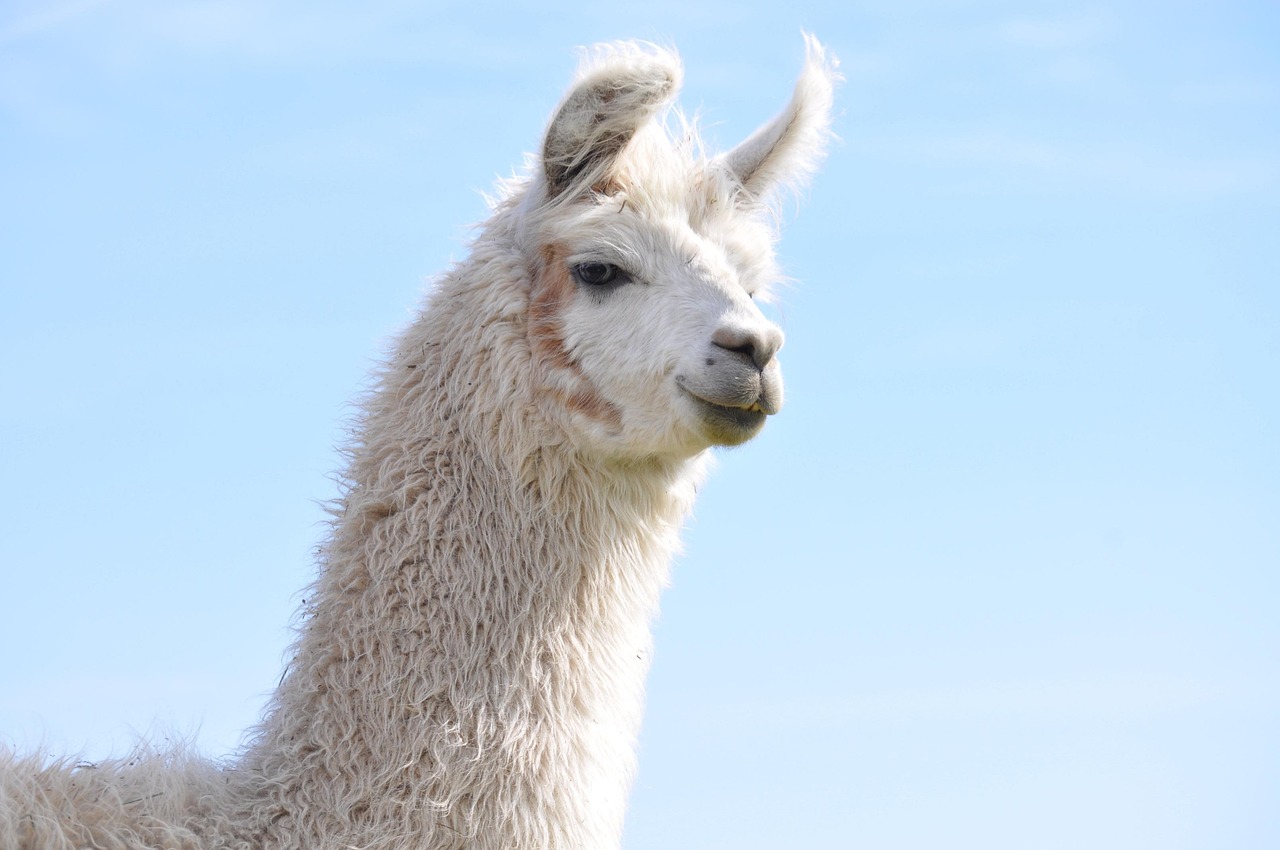 三五互联实名账号：龙湾个体户工商代理注册