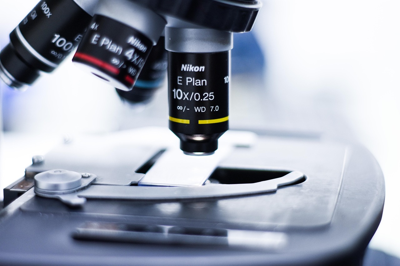 里拉橙子爆珠（细）：免费的app软件详情下载教程