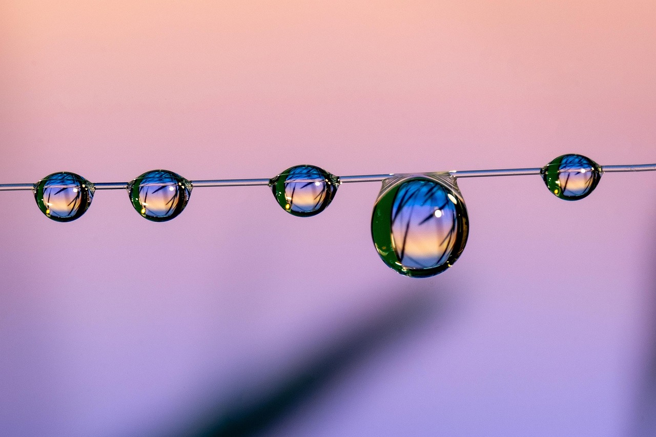 网页DDOS攻击平台|招标代理平台2.0系统