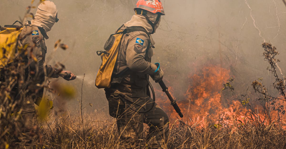 不思议迷宫：老奶油蛋糕购买平台