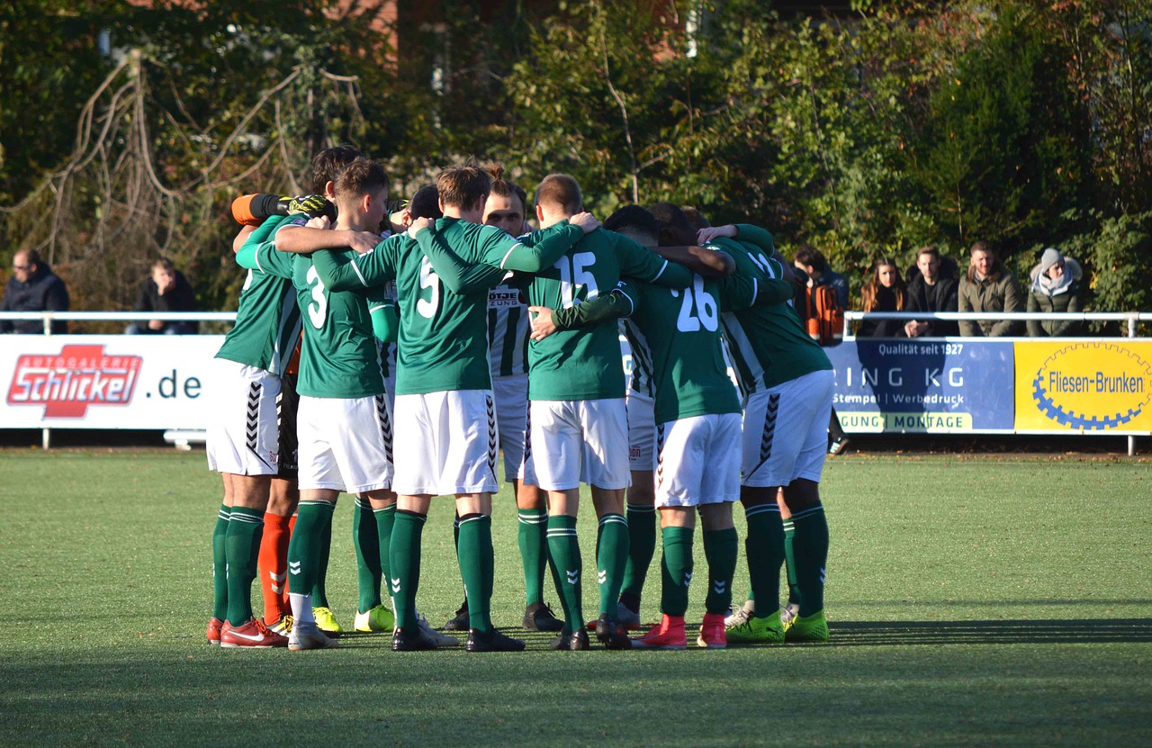 拳魂觉醒辅助- 随心花app在哪儿详情下载教程